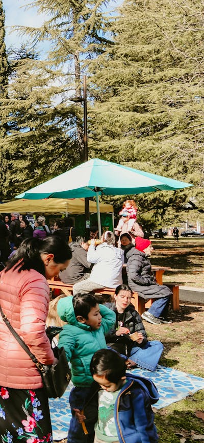 An image of Haig Park Village Markets