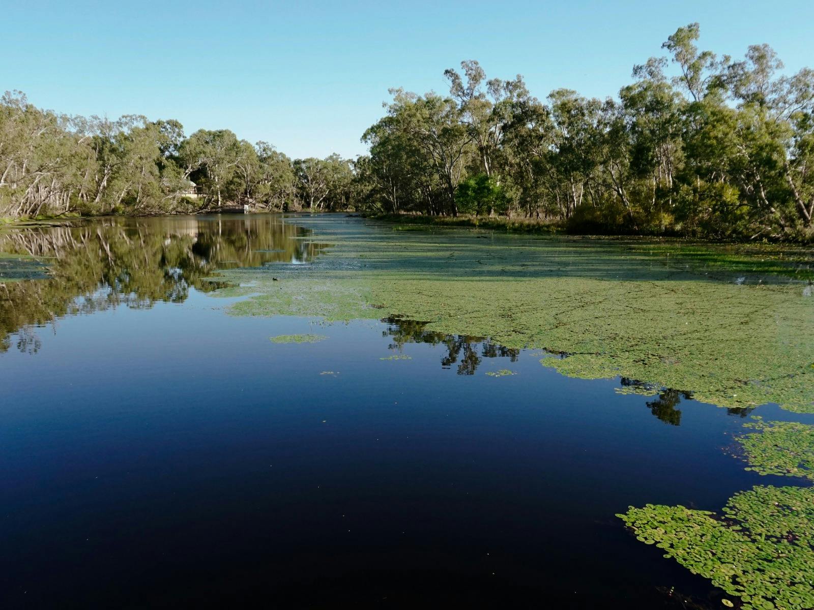 The Tahbilk Wetlands