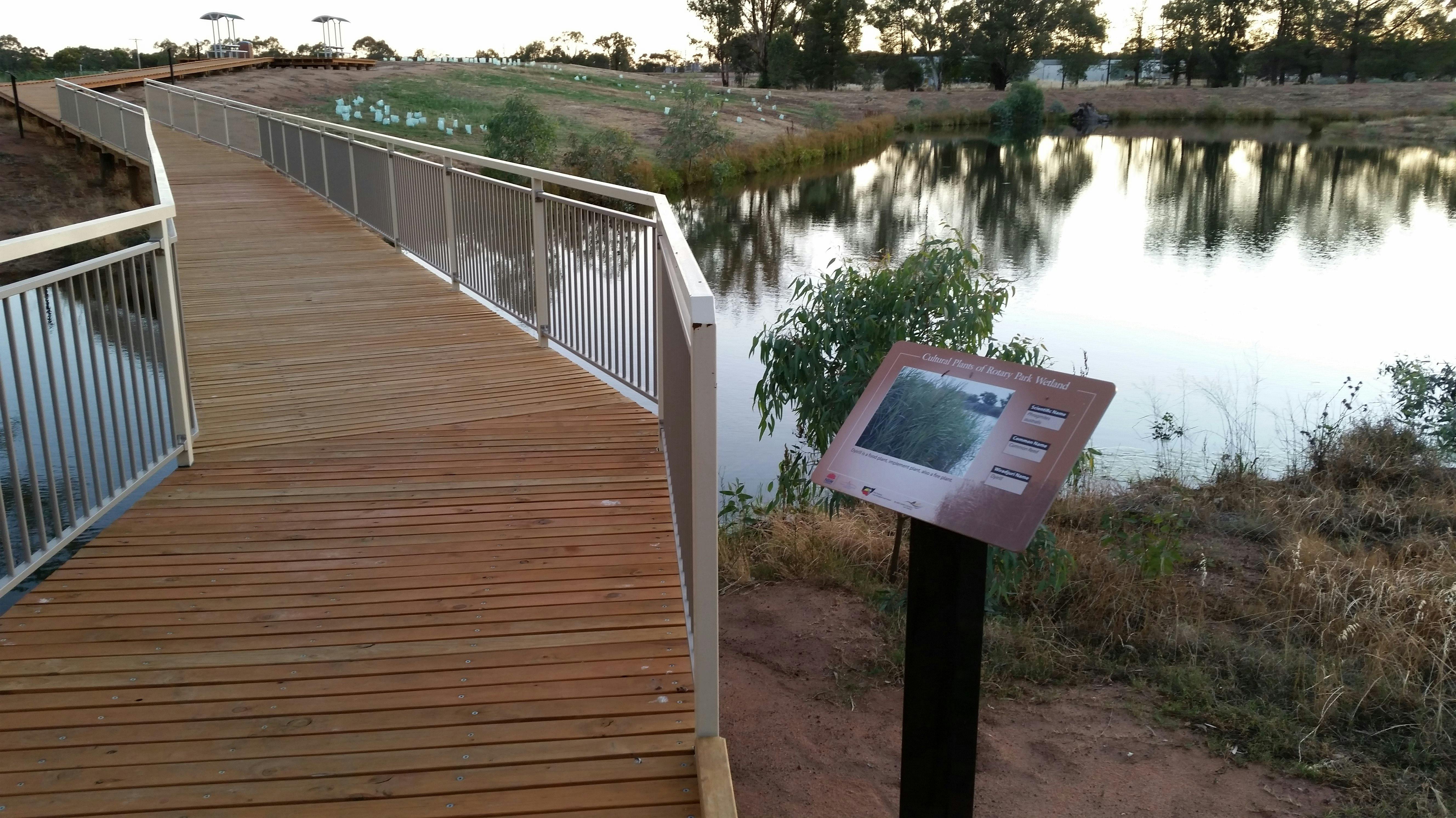 Along the walk there are signage that explains the Aboriginal uses of the plants found at the Wetlan