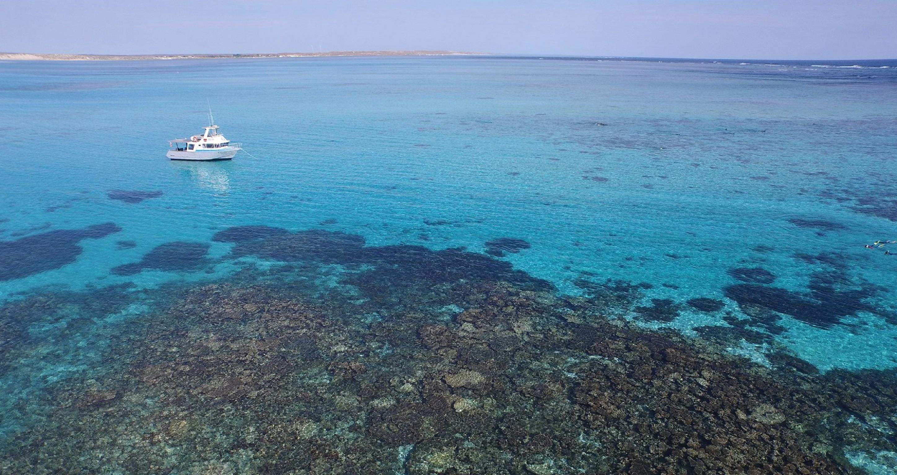 Ningaloo Marine Interactions, Coral Bay, Western Australia