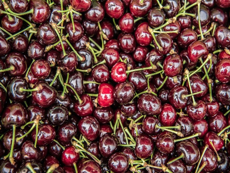 Image of the event 'Food and Wine Tour - Cherry Queen Entrant Event'