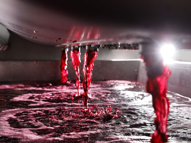Shiraz grapes are pressed and red juice flows through the valves & pumped into a fermenter.