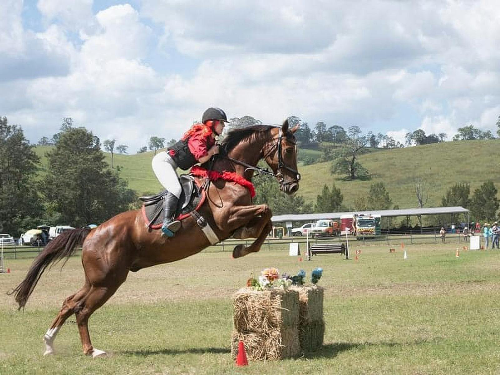 Gresford Agricultural Show
