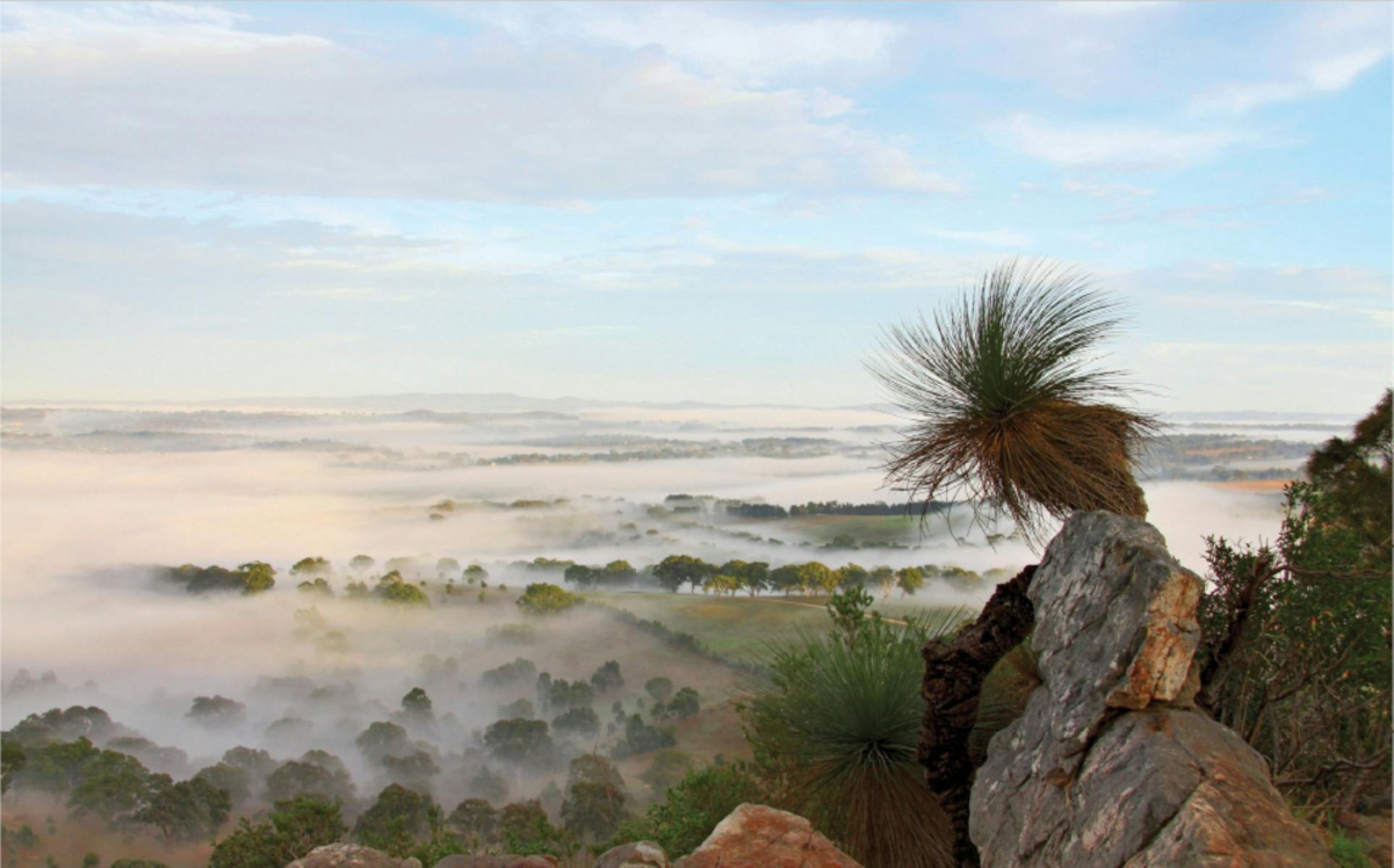 Mt Barker summit view