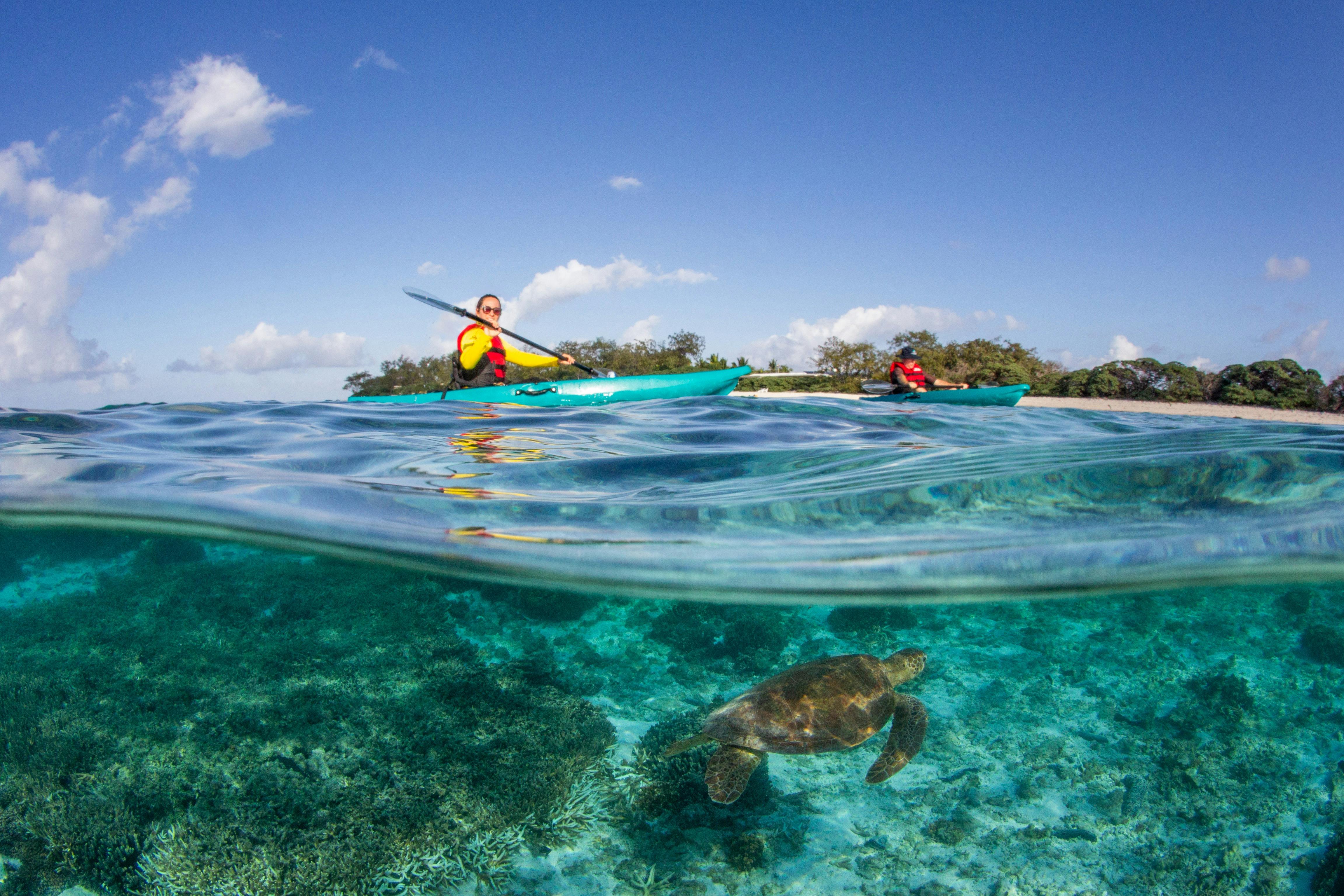 photo showing people in kayaks on clear water with a turtle underneath