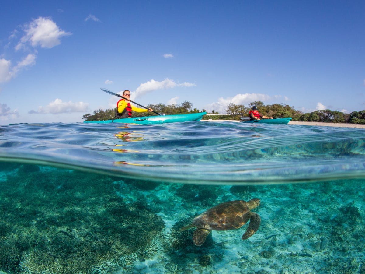photo showing people in kayaks on clear water with a turtle underneath