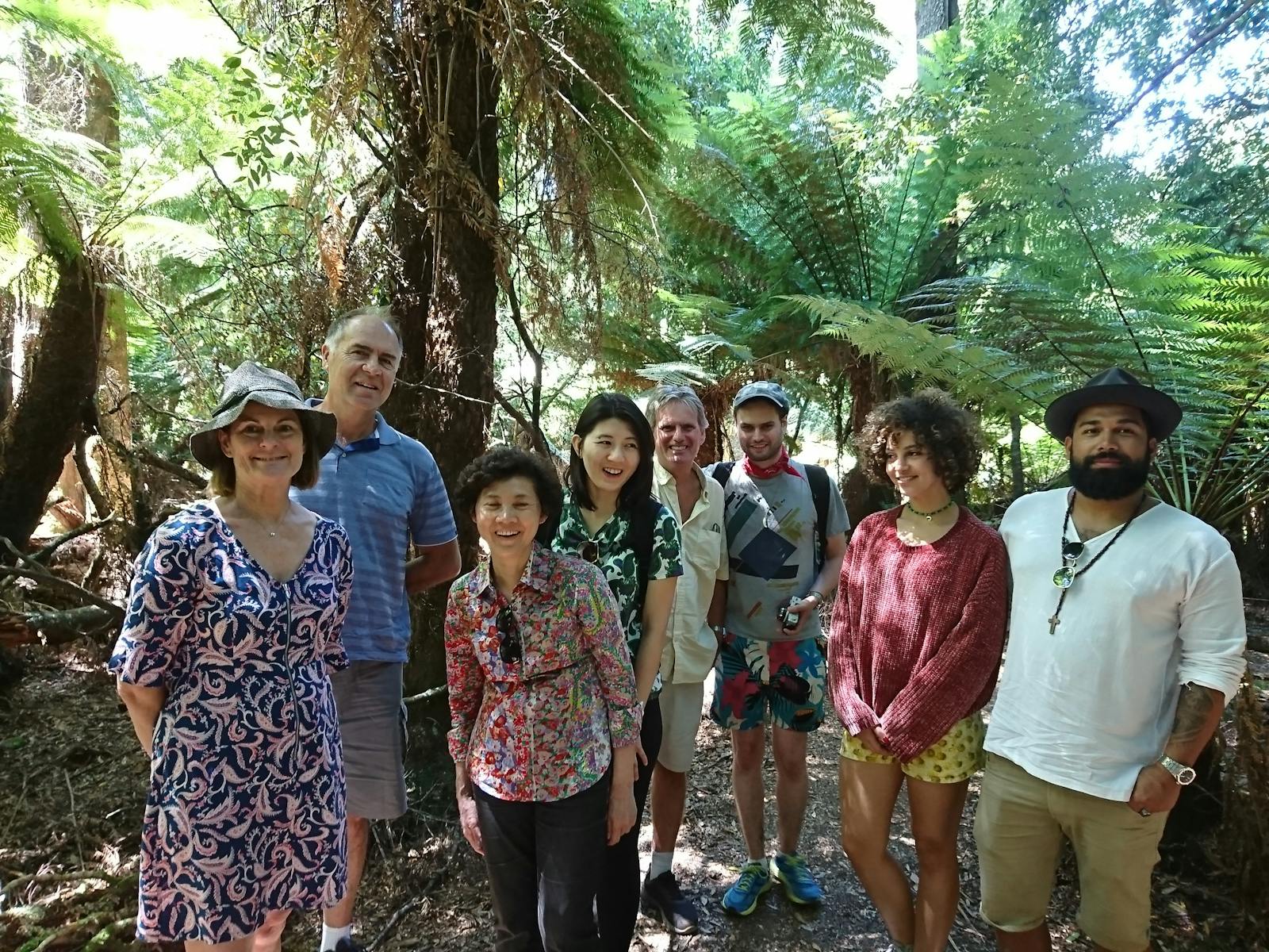Weldborough Pass Rainforest Walk on Bay Of Fires tour