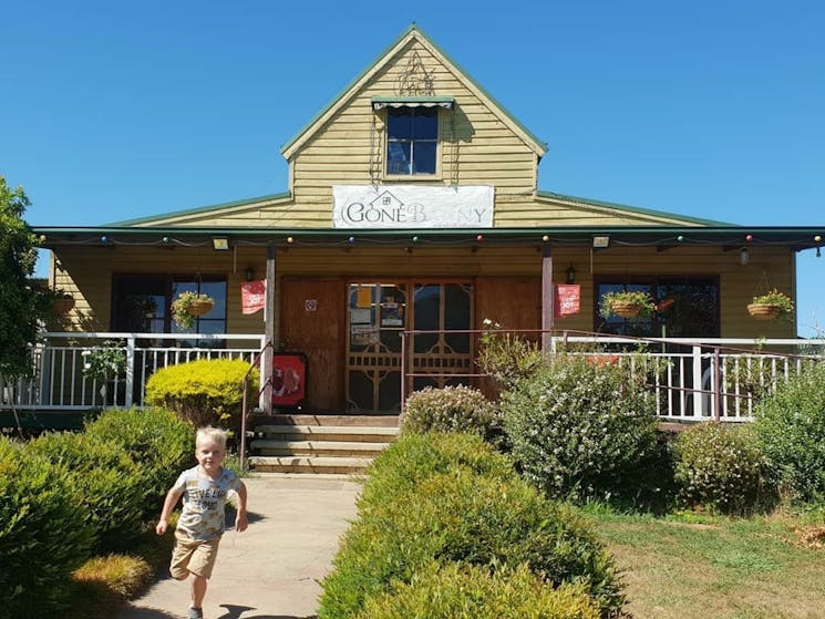 Child at Gone Barney Cafe in Rosewood, Snowy Valleys NSW, near the end of the Tumbarumba Rail Trail