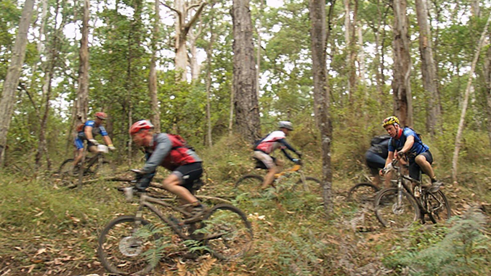 Forrest Mountain Bikes