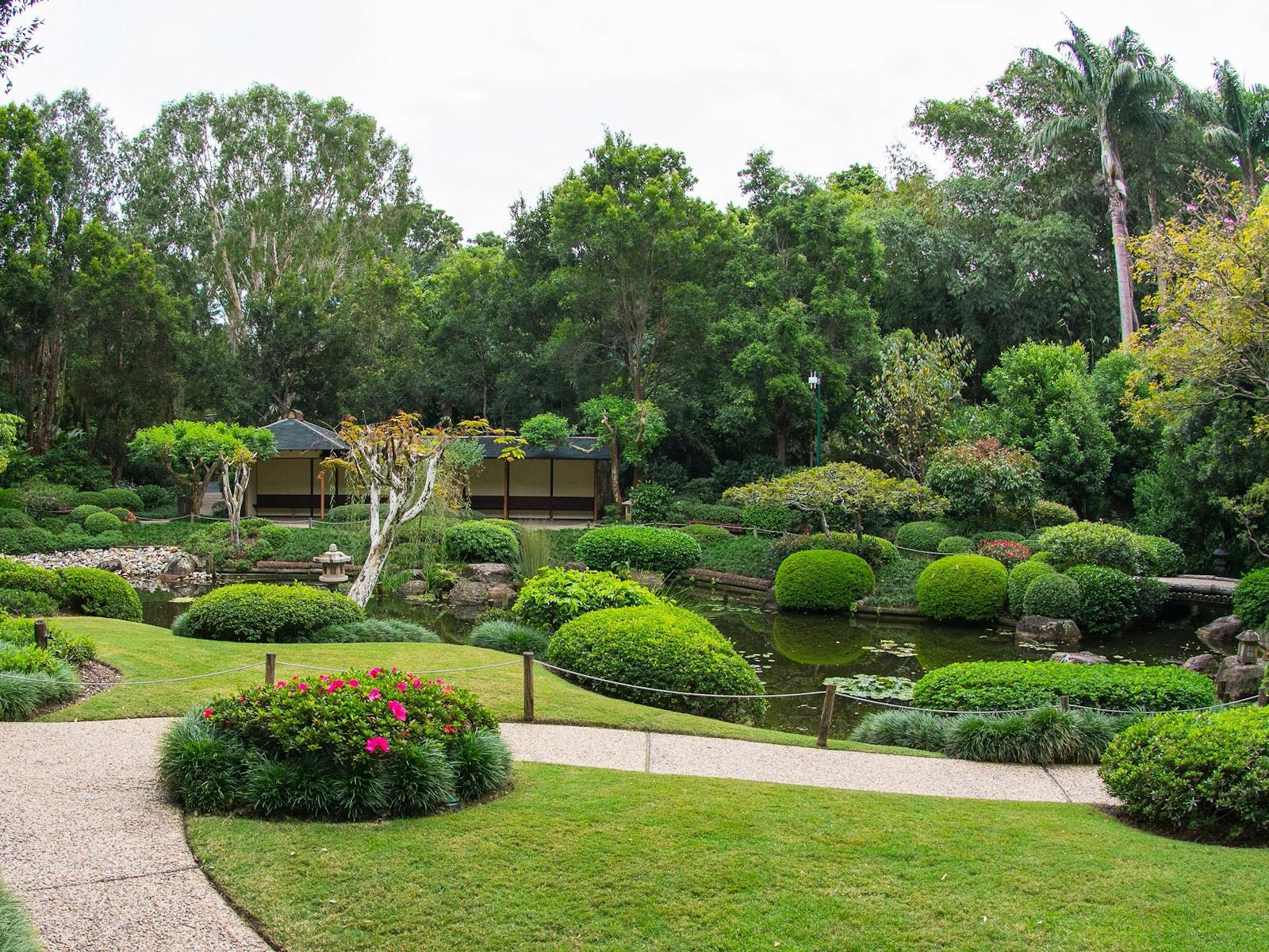 Brisbane Botanic Gardens Mount Coot-tha