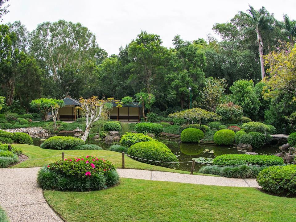 Brisbane Botanic Gardens Mount Coot-tha