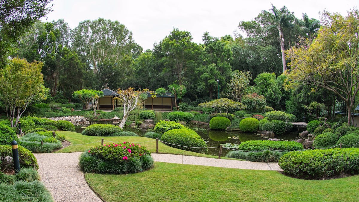 Brisbane Botanic Gardens Mount Coot-tha