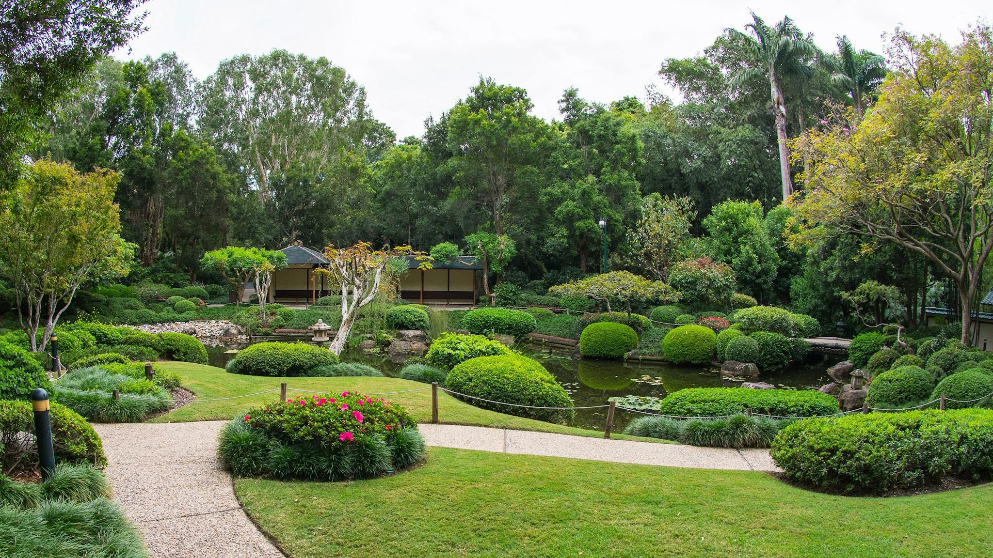 Brisbane Botanic Gardens Mount Coot-tha