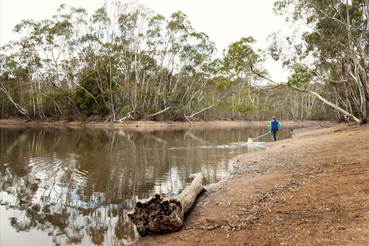 Para Wirra Conservation Park