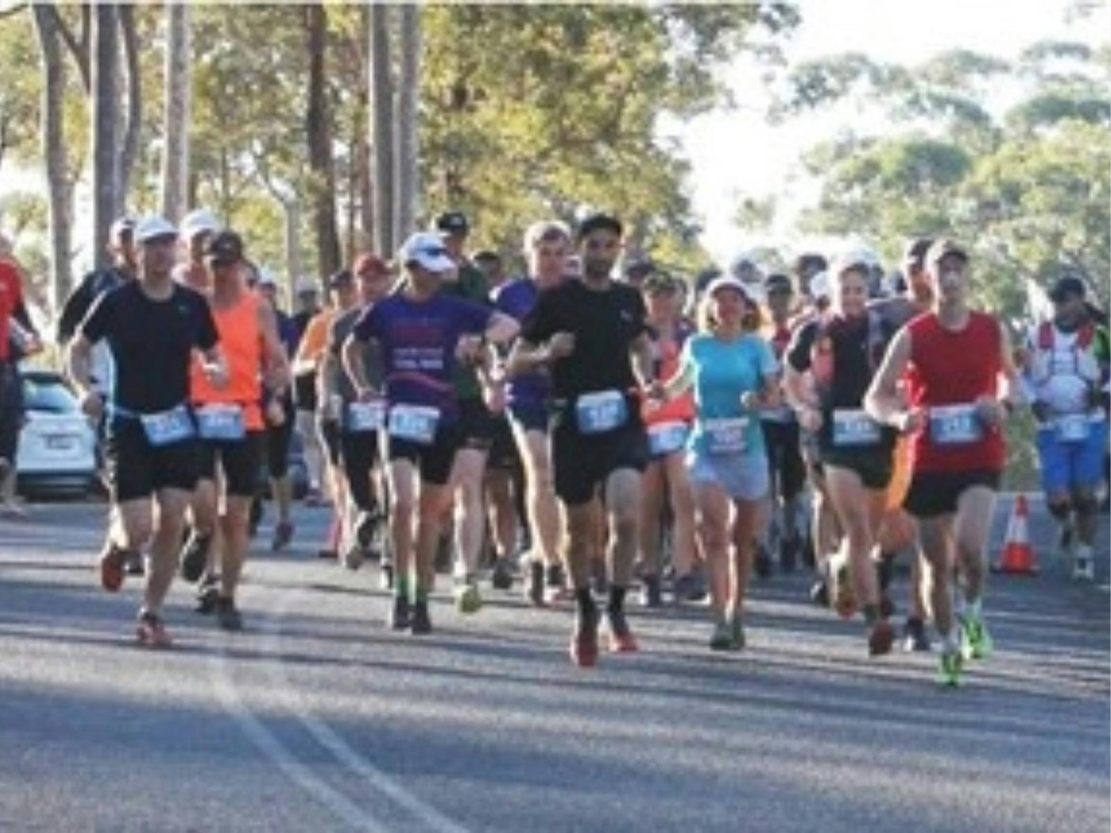 Runners in a bush setting
