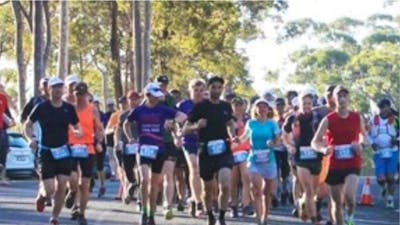 Runners in a bush setting