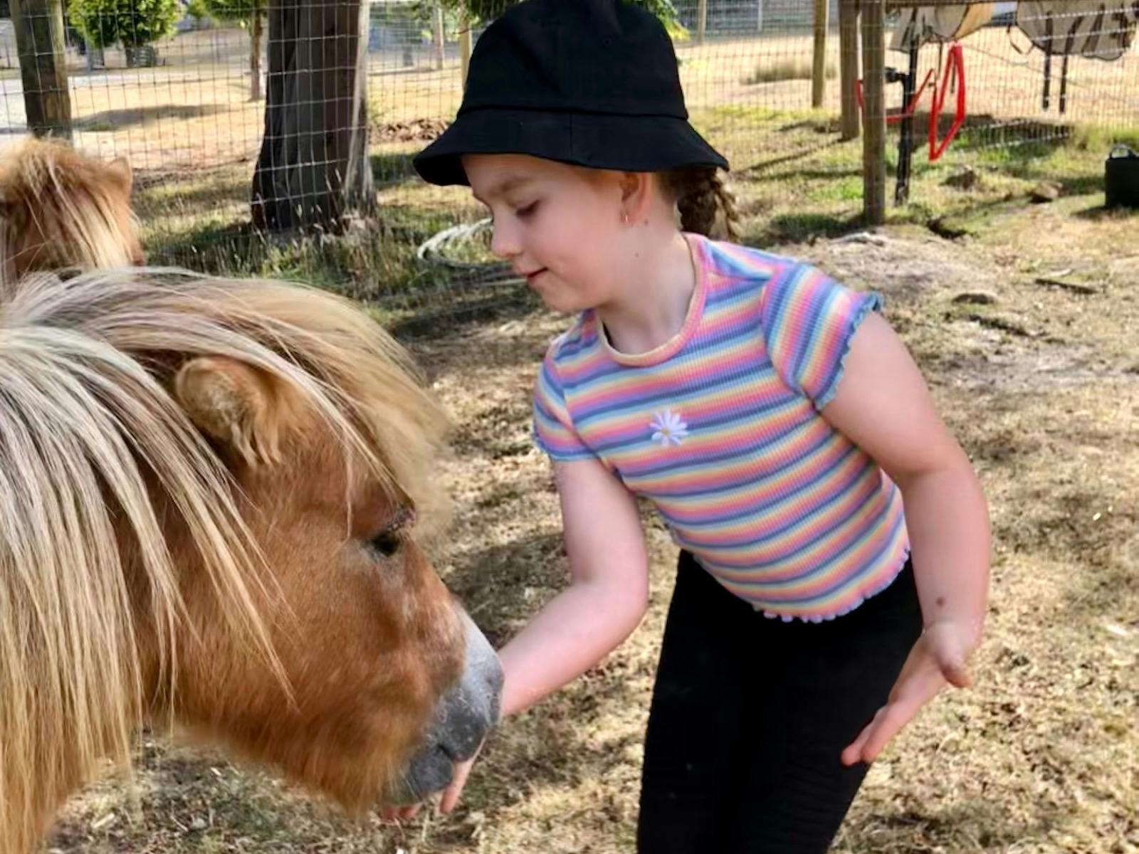 Girl meeting miniature horse