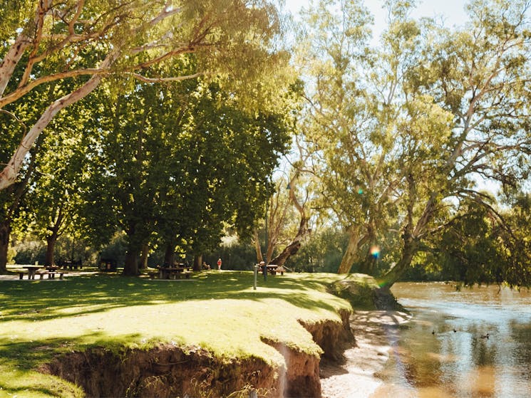 Murray River Precinct - Noreuil Park Parade