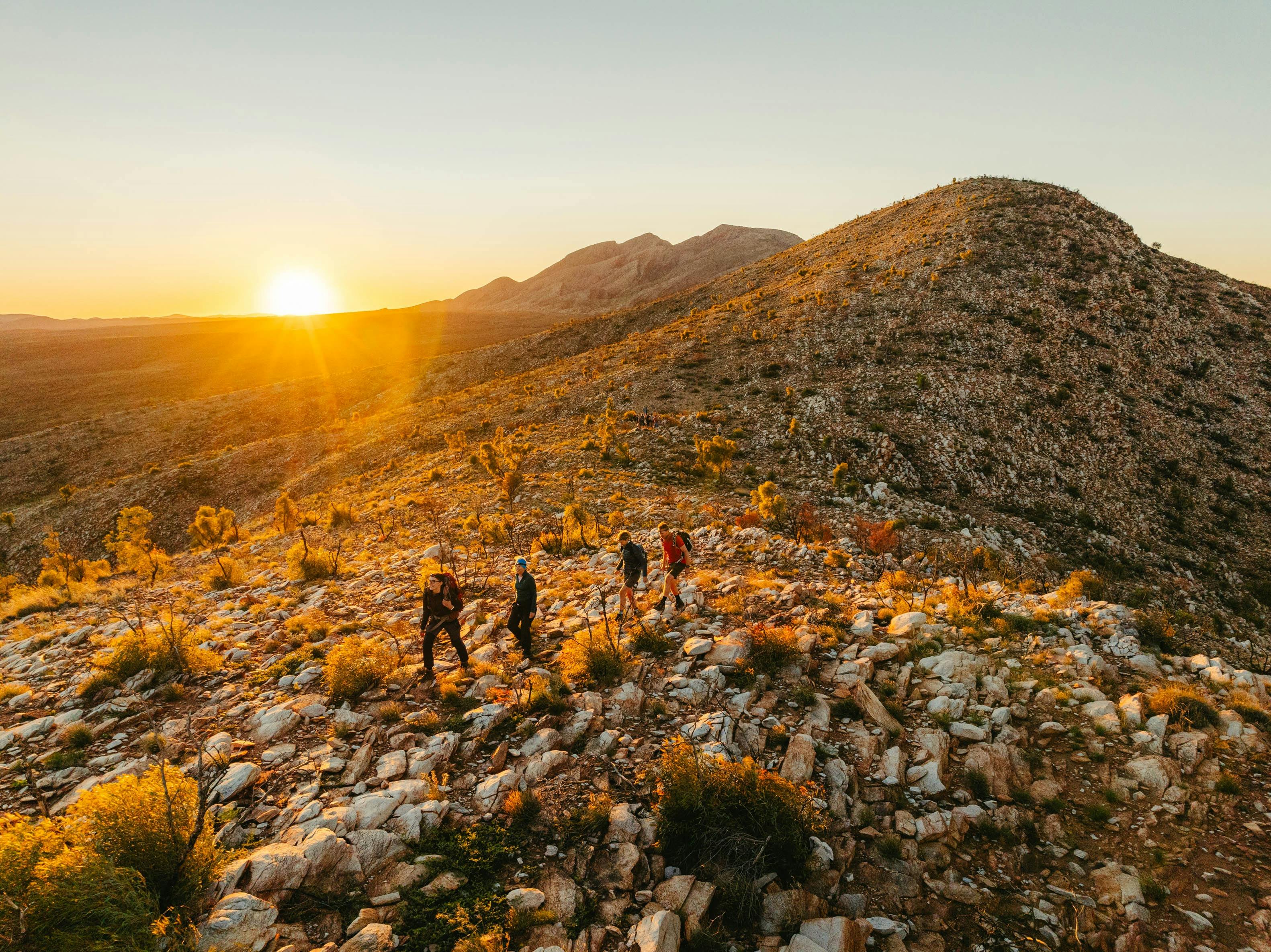Australian Walking Company