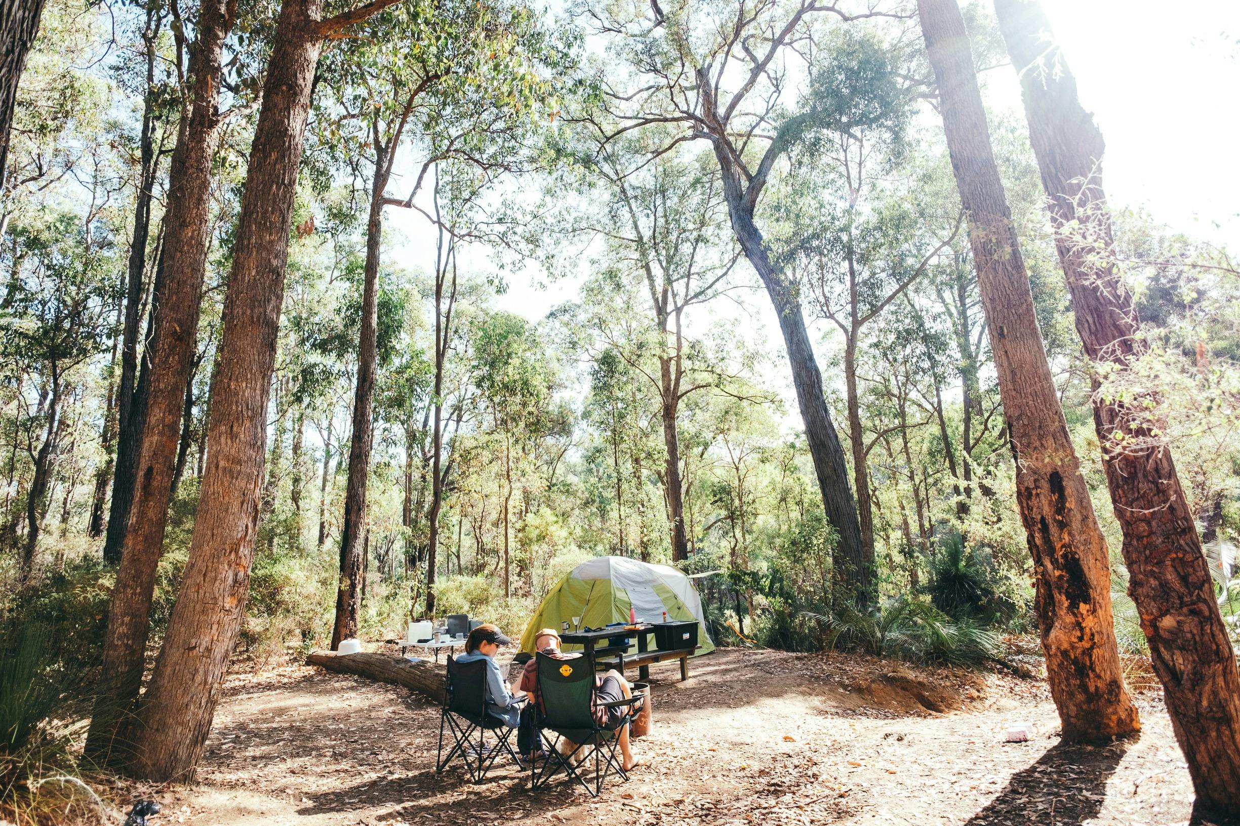 Camping at Lane Poole Reserve, Dwellingup