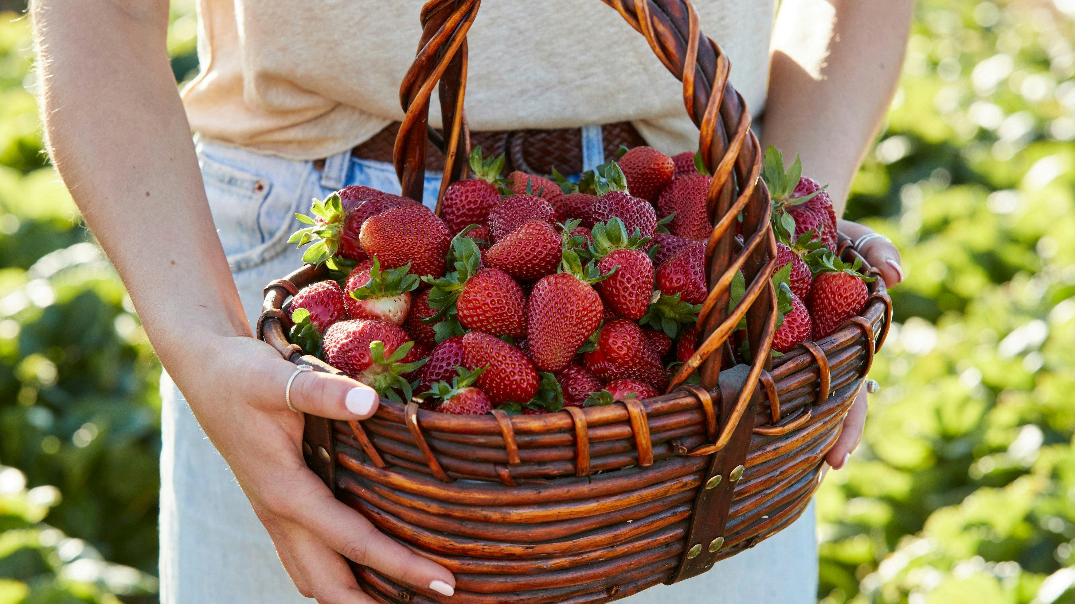 Beerenberg strawberries
