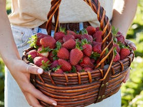 Beerenberg strawberries