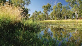 Chinaman's Lagoon