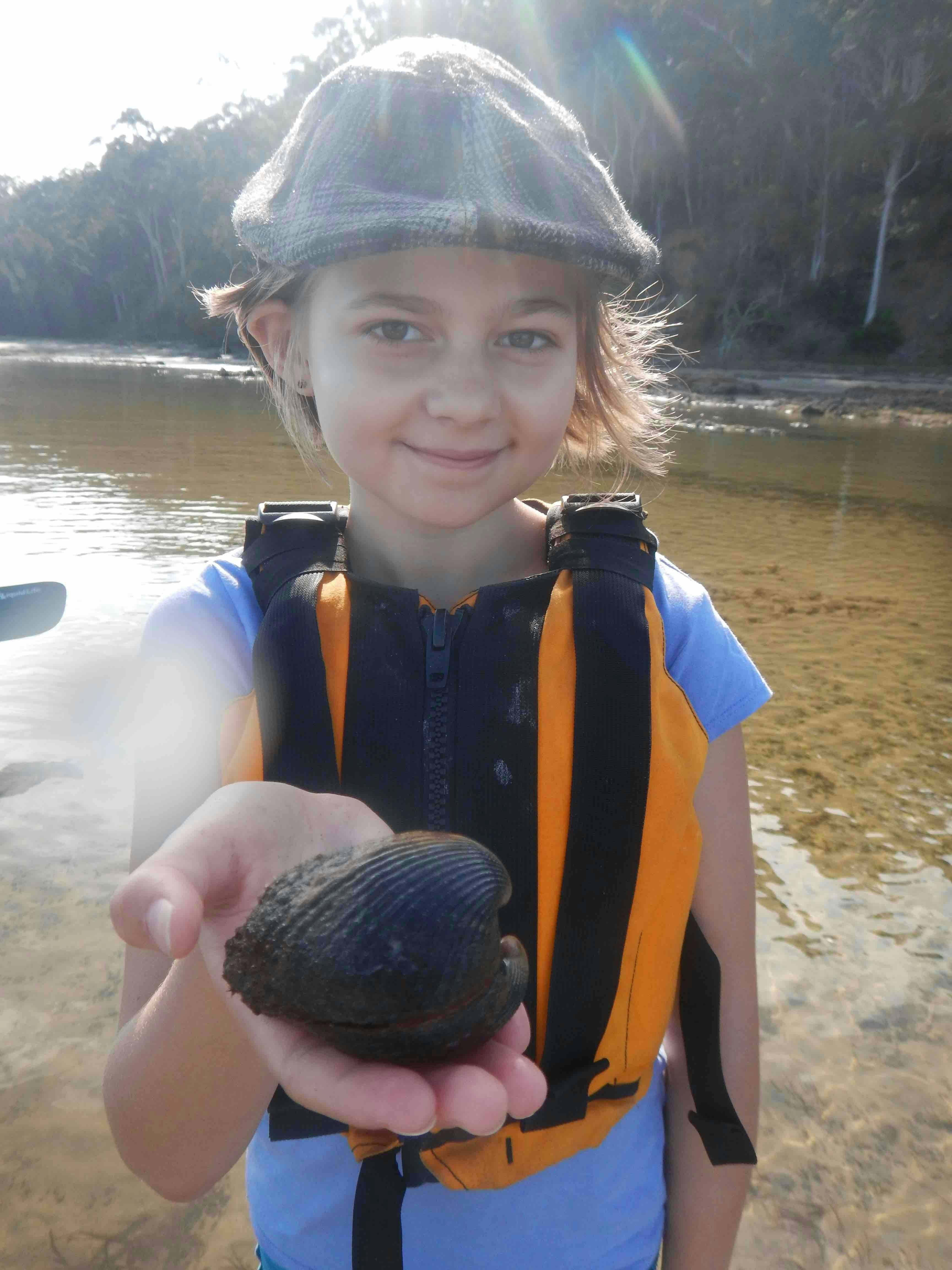 Cockel Shell Glass bottom KAyak Tour