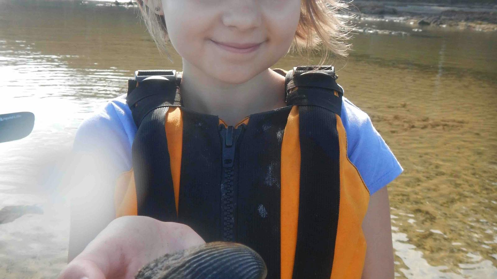 Cockel Shell Glass bottom KAyak Tour