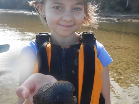 Glass-Bottom Kayak Tour
