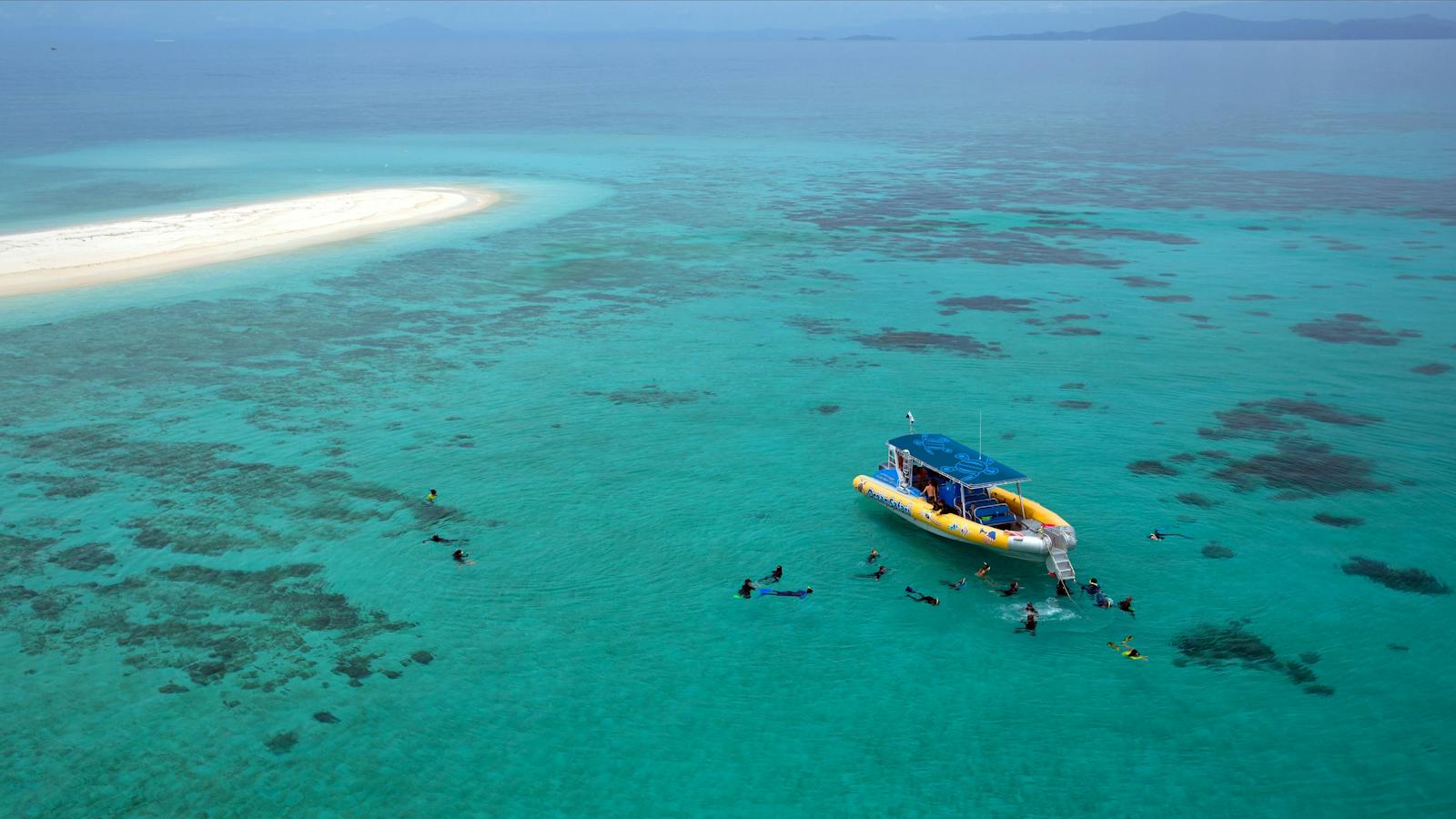 Ocean Safari Great Barrier Reef