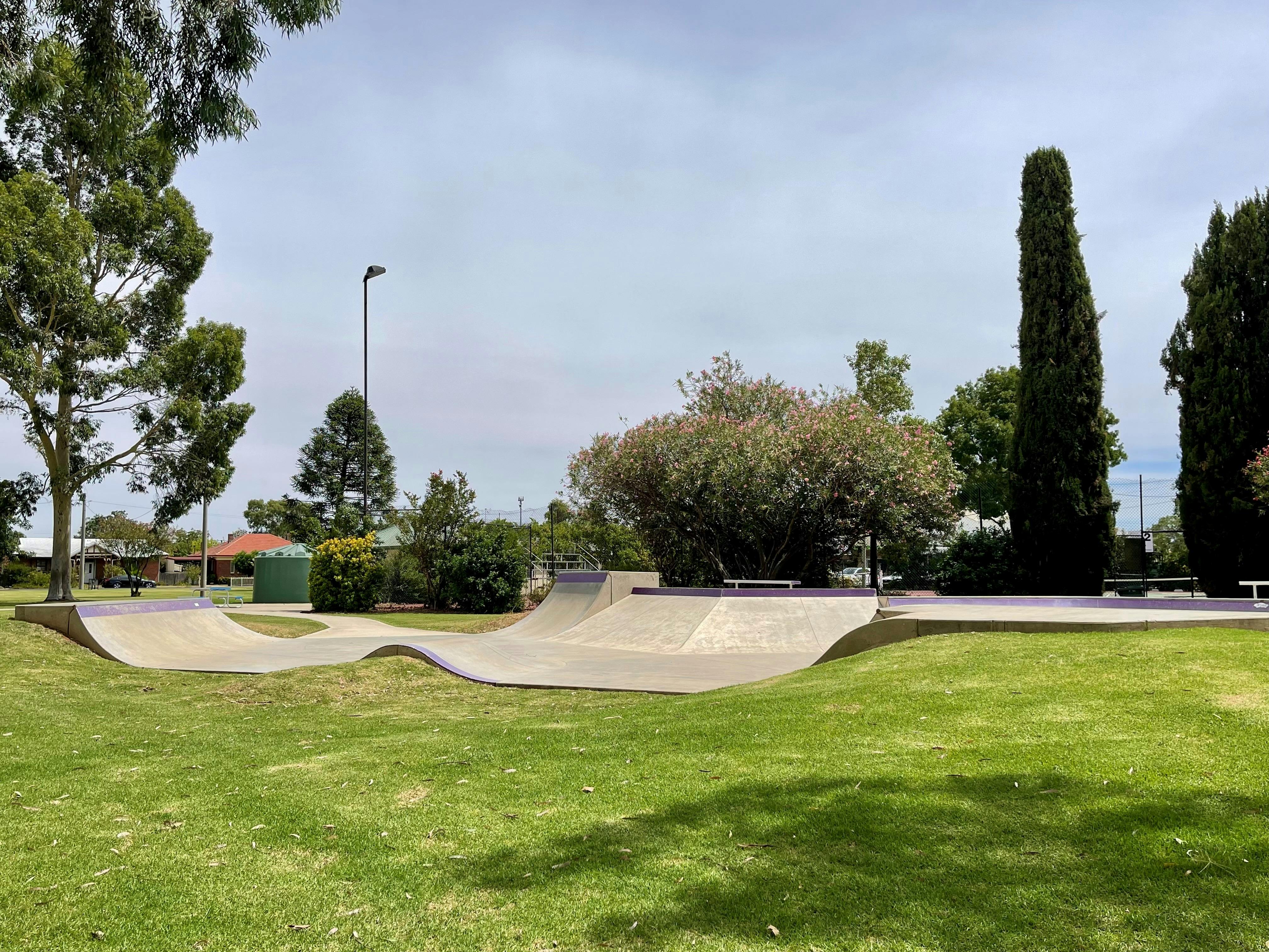 다시 스케이트파크