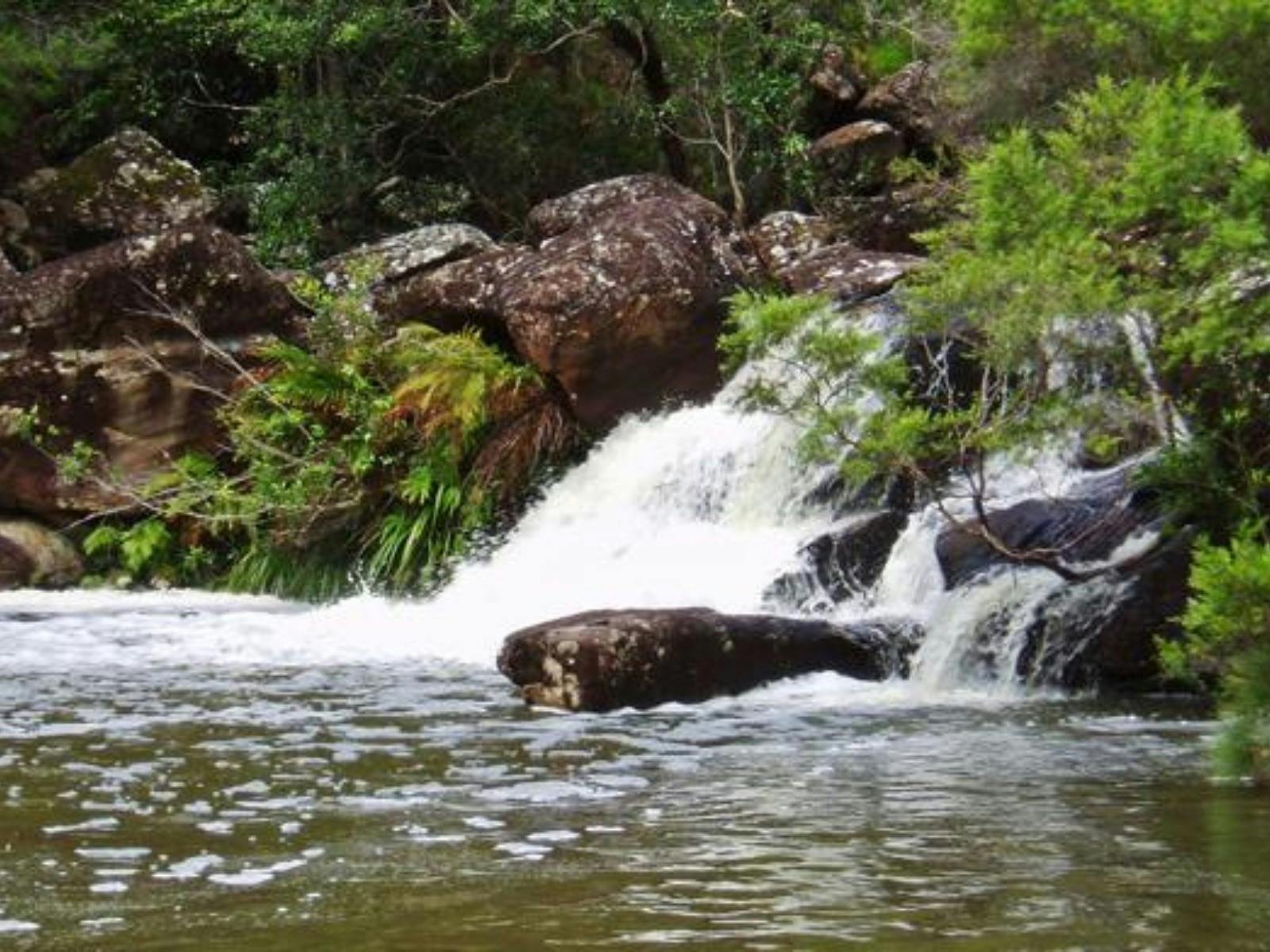 格倫雷村 (Glenreagh Village) 外的偵察瀑布 (Scouts Falls)