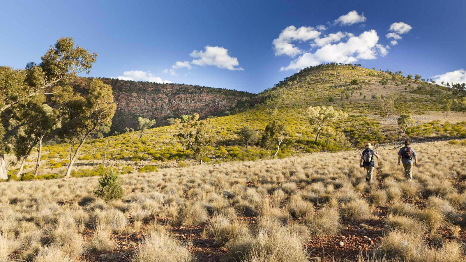 Little Mountain Walking Track