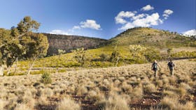 Little Mountain Walking Track