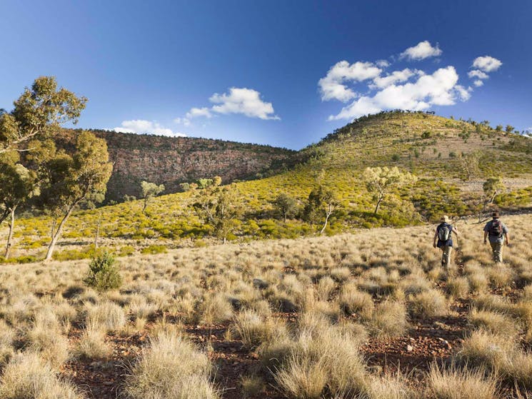 Little Mountain walking track, Gundabooka National Park. Photo: David Finnegan