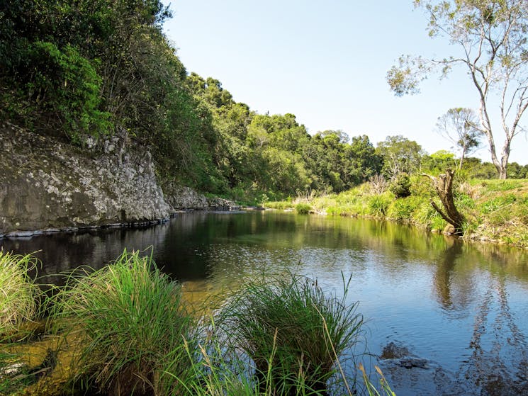 Secluded natural swimming oasis, surrounded by lush greenery and breathtaking views. Spot a platypus
