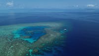 Drone footage pure snorkelling boat at Briggs Reef Fish Bowl entire reef seen in shot