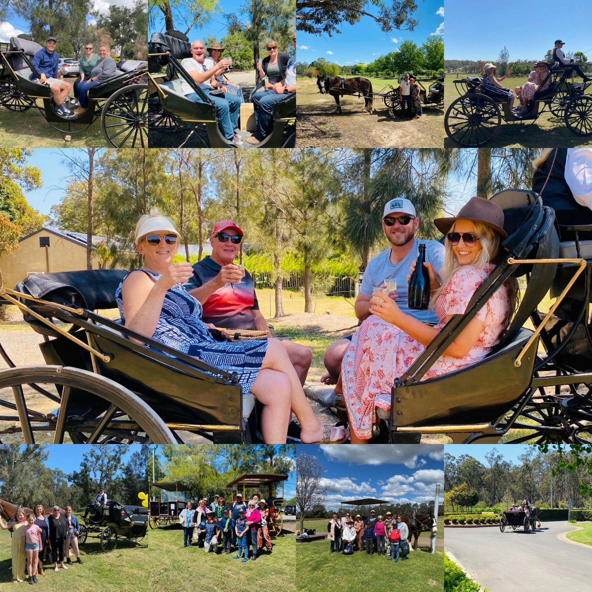 A group enjoying an exclusive carriage wine tour