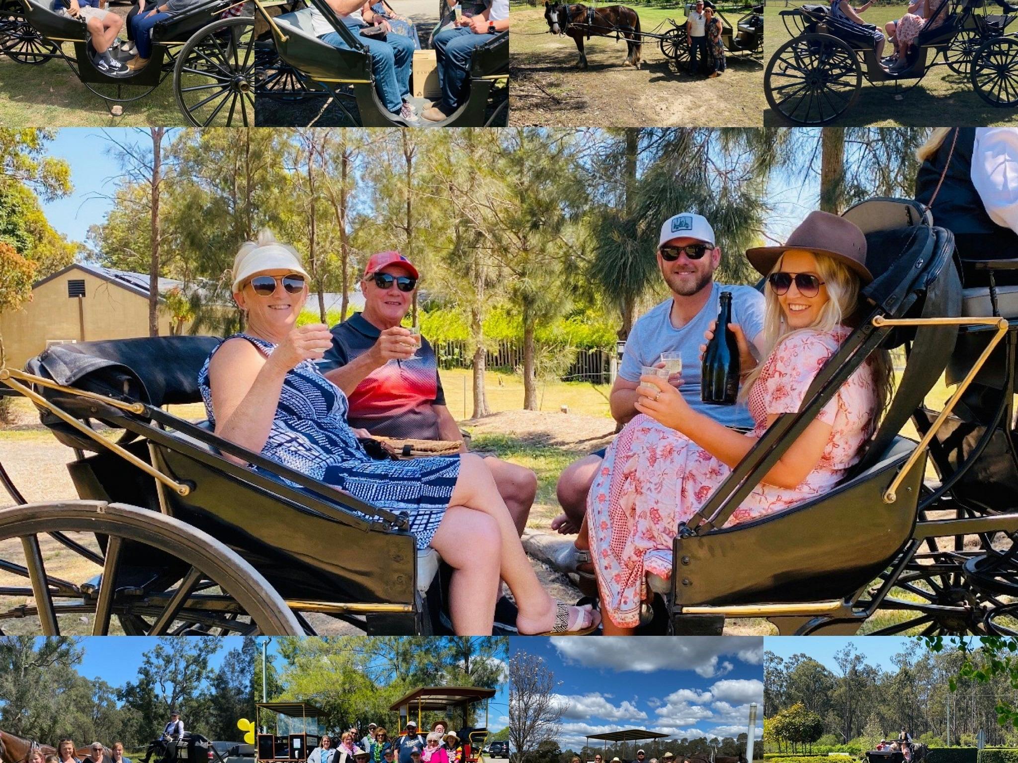 A group enjoying an exclusive carriage wine tour