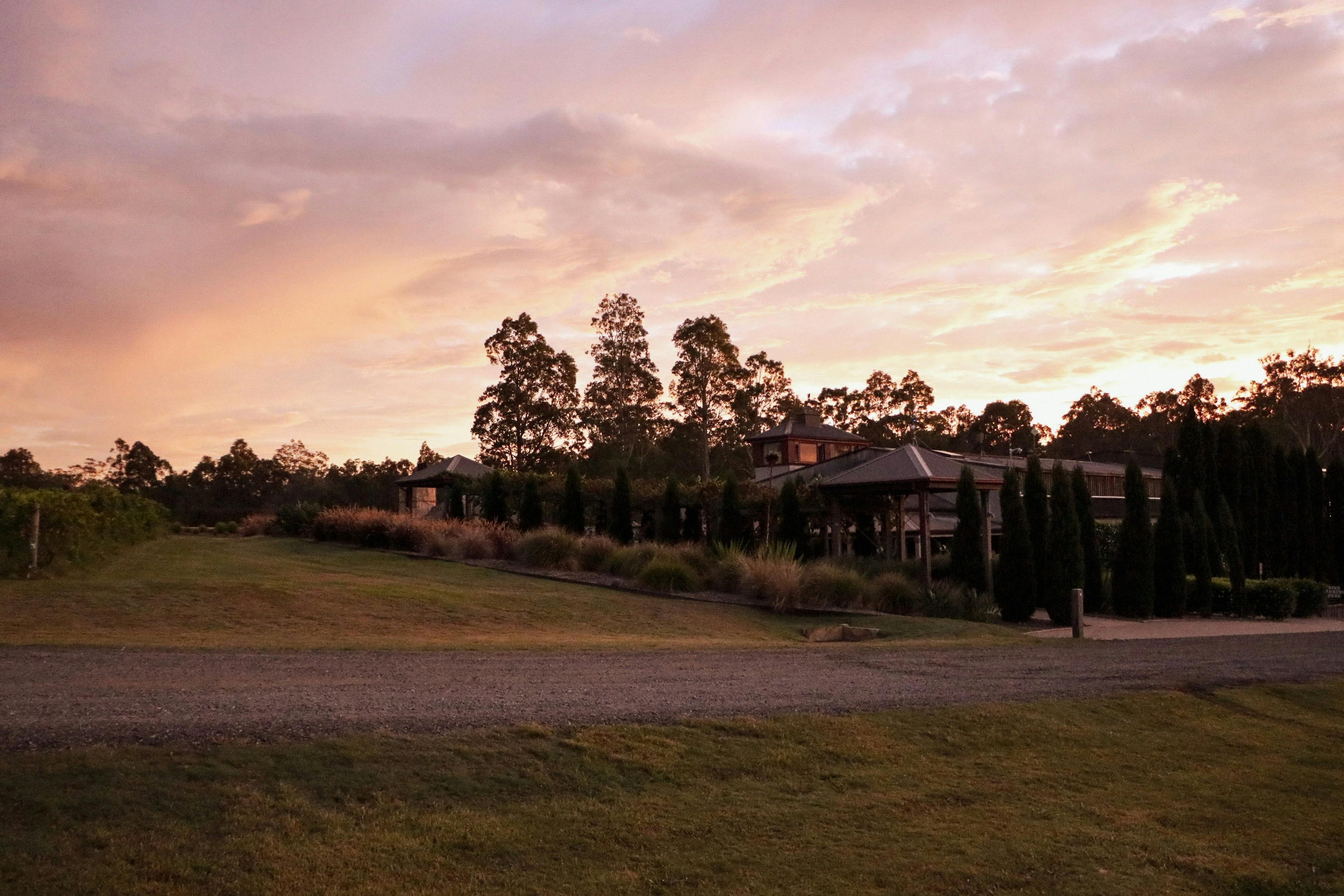 Piggs Peake Winery