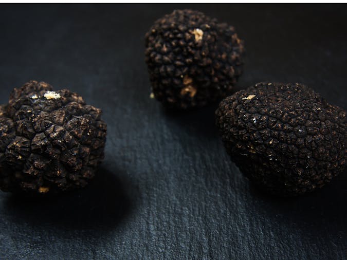 Truffles and red wine tour through the Adelaide Hills