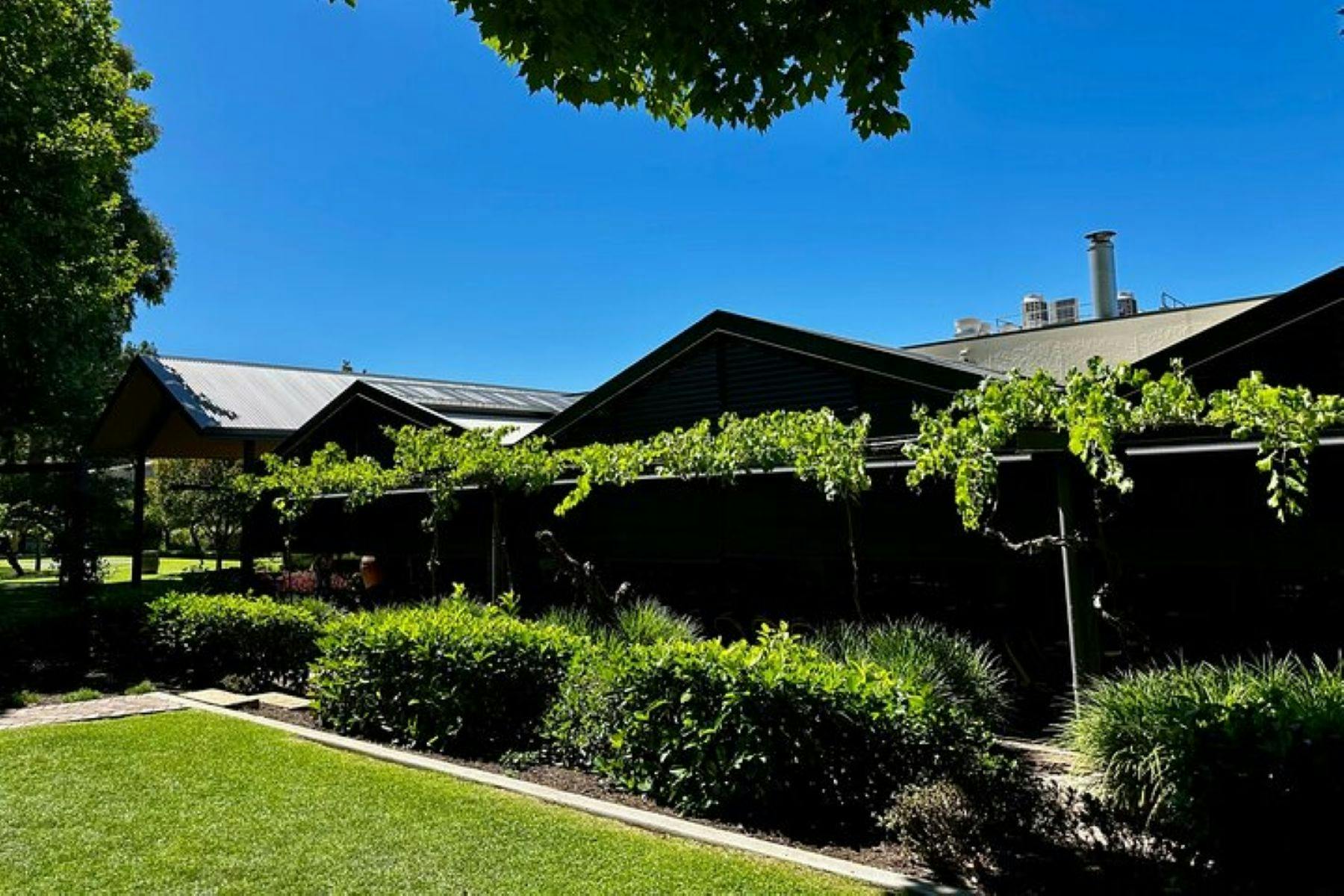 Private Swan Valley Wine Tour | Mercedes V-Class Experience