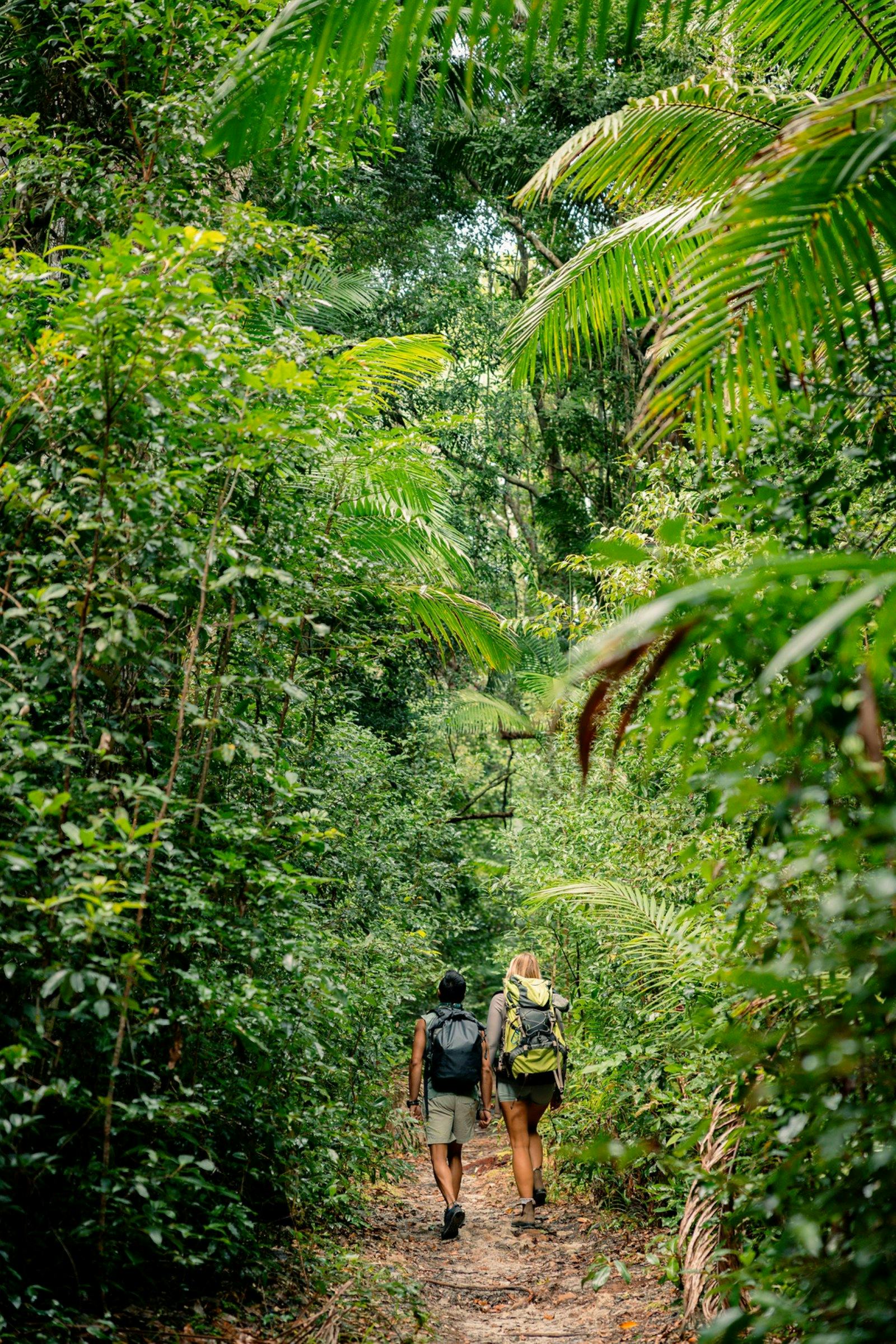 Toolara State Forest