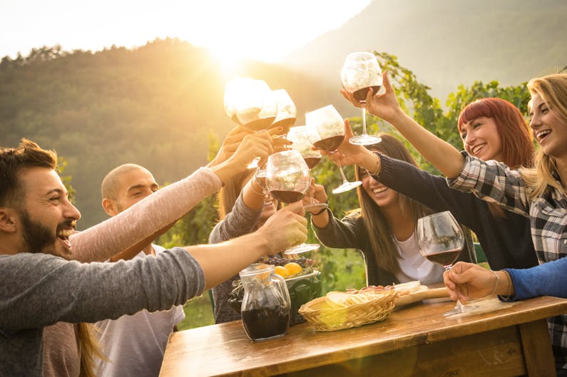 Image of the event 'Vineyard Experience'