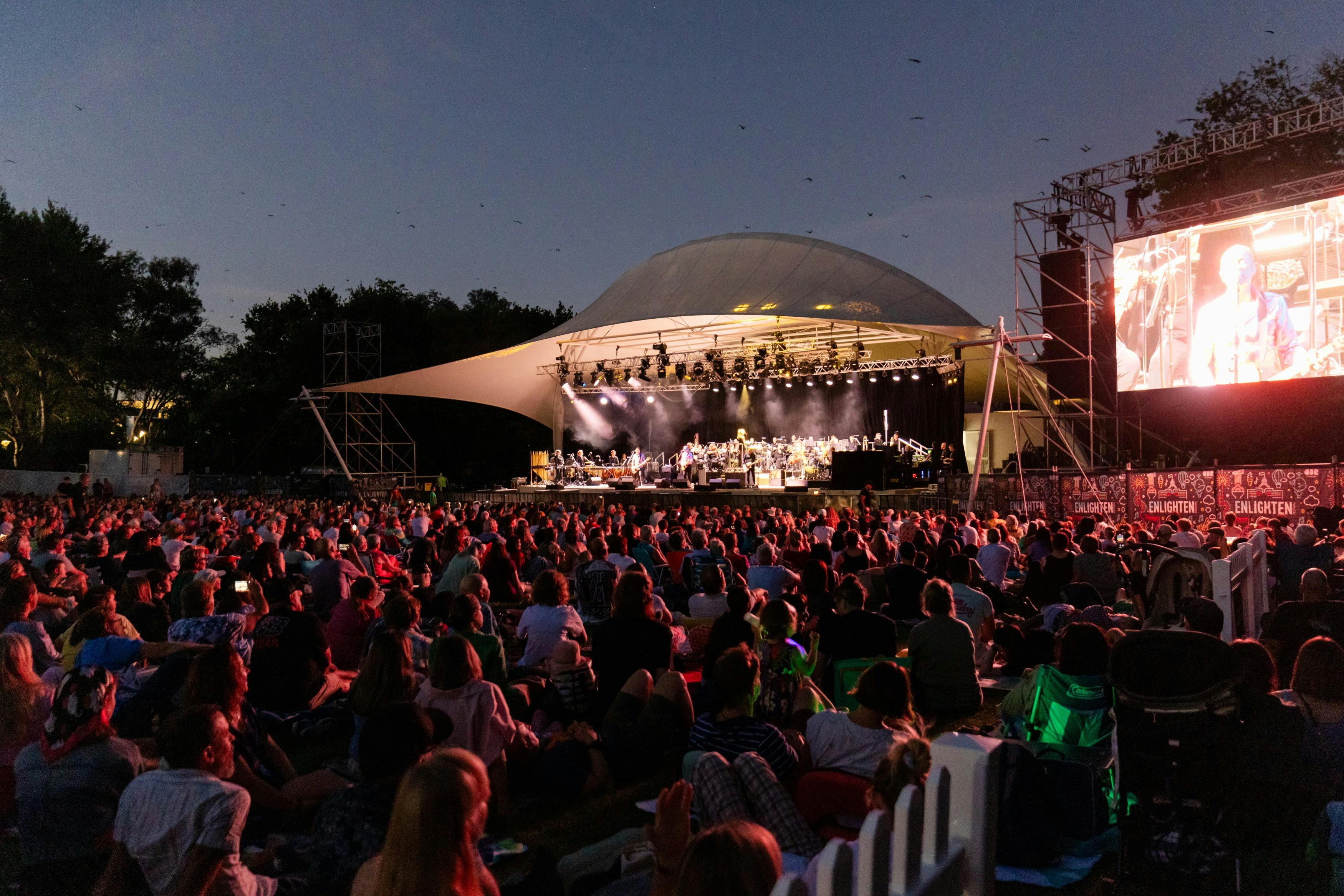 Symphony in the Park