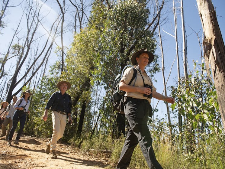 Our knowledgeable local guide leading guests along a gum tree lined trail.