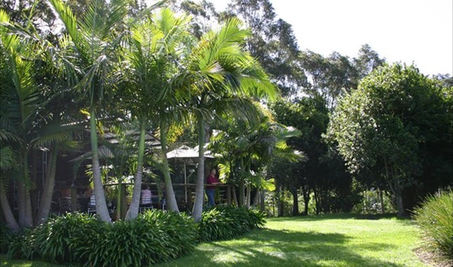 Lorne Valley Macadamia Farm Lorne Valley Macadamia Farm