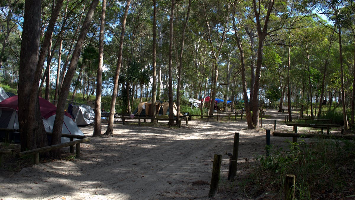 Tents set up under trees along a sandy track.