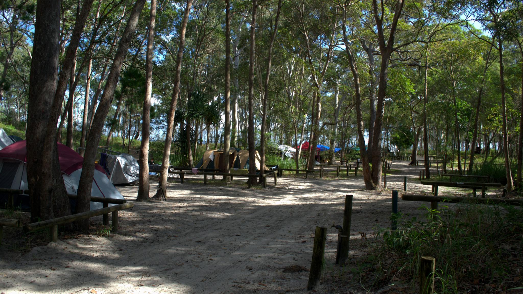 Tents set up under trees along a sandy track. Tents set up under trees along a sandy track.